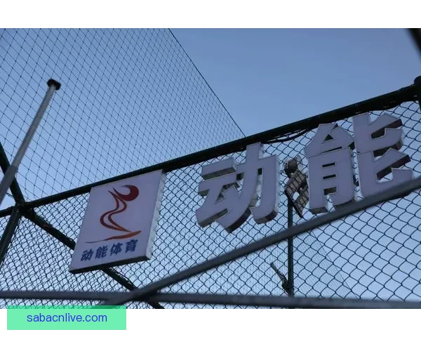 沙巴体育开户攻略全面解析助你轻松入门畅玩游戏